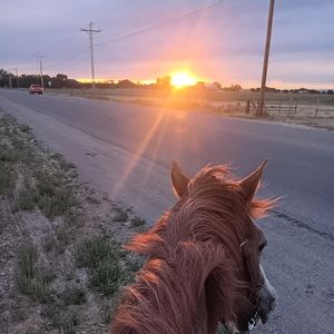 Meet your Posher, Aurora